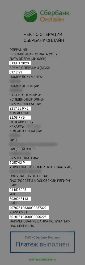 Пример оригинала чека