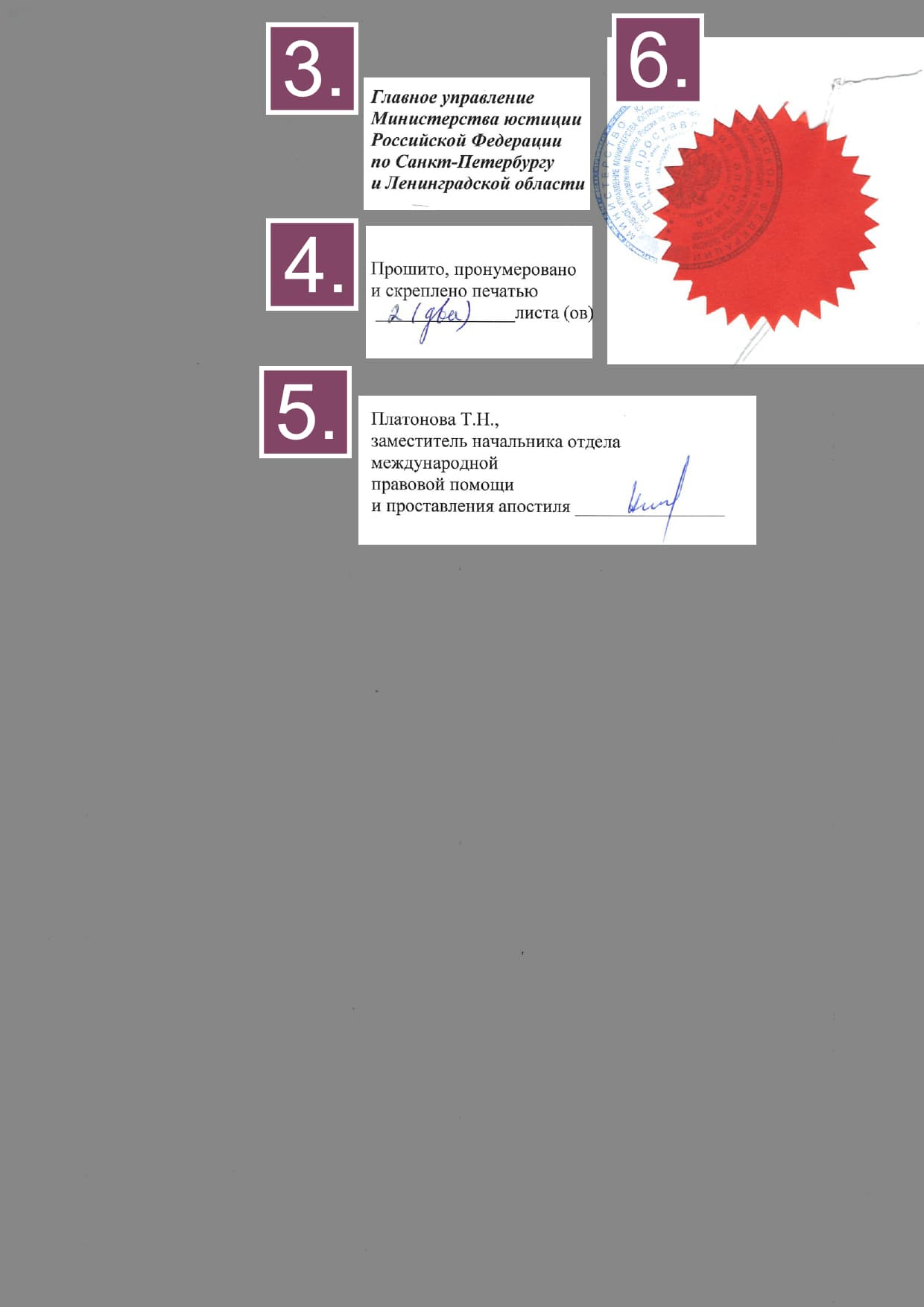 Вторая страница апостиля, подшитого к доверенности