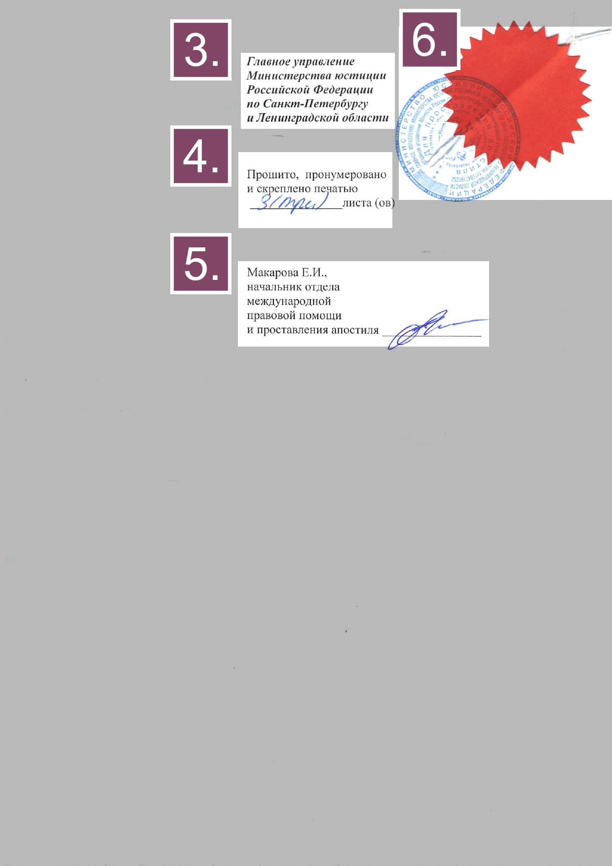 Оборотная сторона проставленного на свидетельстве о рождении апостиля