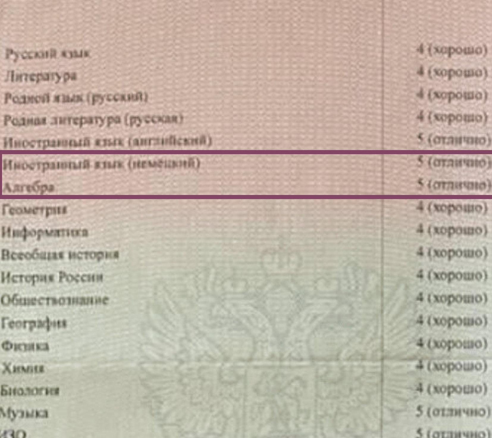 Скриншот: предметы, по которым ChatGPT проставил неверные отметки